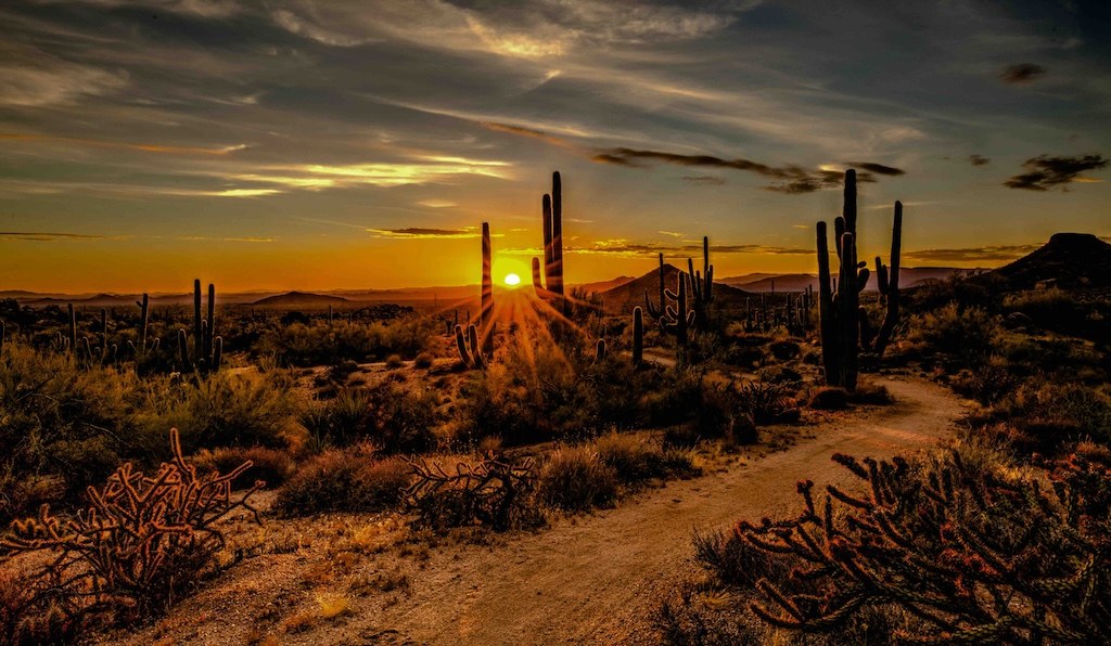 Mobile Tech Support in Chandler, AZ